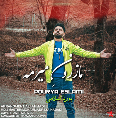 پوریا اسلامی مازرون میرمه